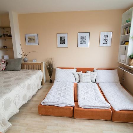 Apartman Labe Usti nad Labem Exterior photo